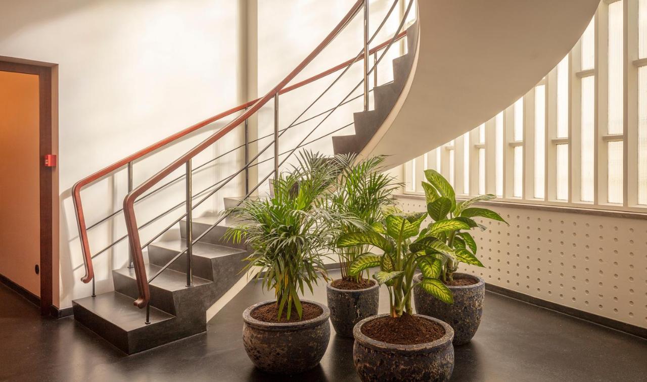 Ceuta Terrace Suites Порто Екстериор снимка